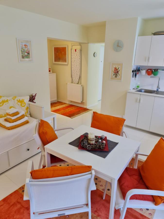 Apartamentul Alb Buşteni Eksteriør billede