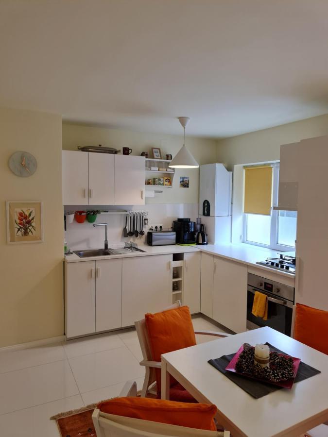 Apartamentul Alb Buşteni Eksteriør billede