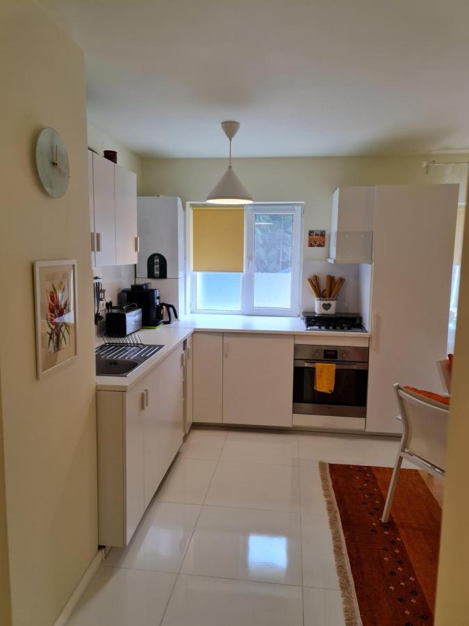Apartamentul Alb Buşteni Eksteriør billede