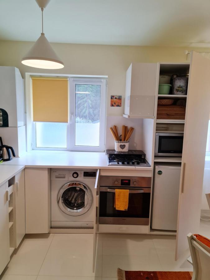 Apartamentul Alb Buşteni Eksteriør billede